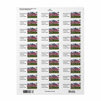 American Flags and Crosses