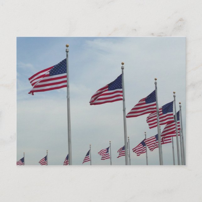 American Flags at the Washington Monument Postcard (Front)