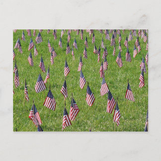 American flags postcard