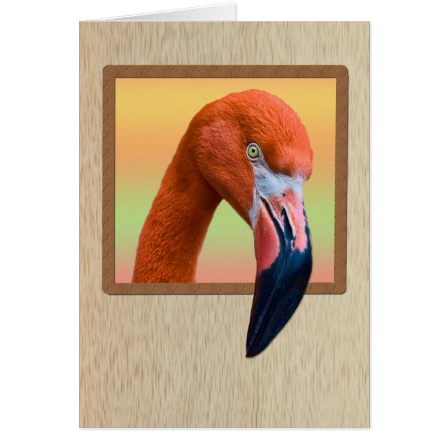 American Flamingo All-purpose Card (Front)