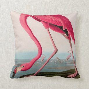 American Flamingo Birds of America Audubon Print Cushion