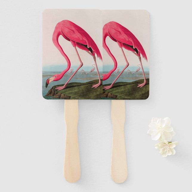 American Flamingo Birds of America Audubon Print Hand Fan (Front and Back)