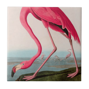 American Flamingo Birds of America Audubon Print Tile