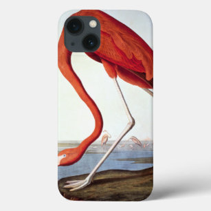 American Flamingo iPhone 13 Case