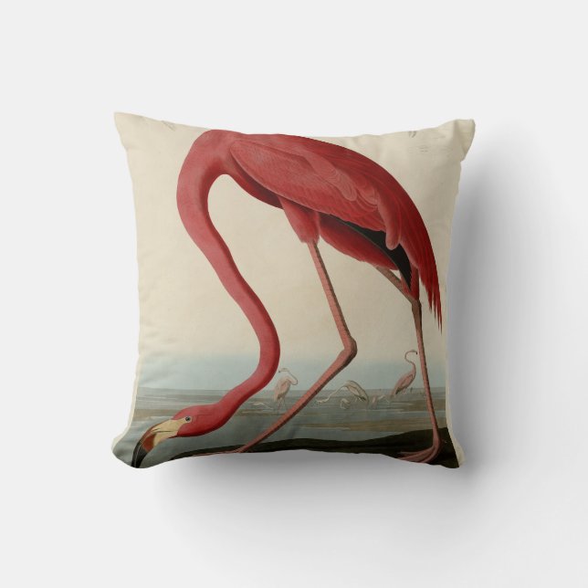 American Flamingo from Audubon's Birds of America Cushion (Front)