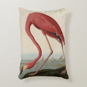 American Flamingo from Audubon's Birds of America Decorative Cushion