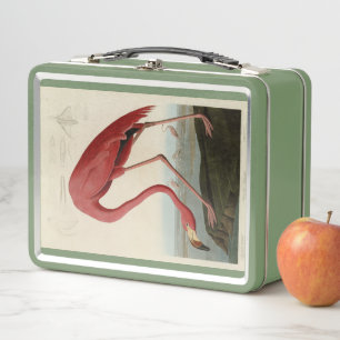 American Flamingo from Audubon's Birds of America Metal Lunch Box