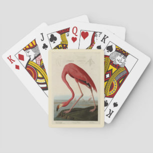 American Flamingo from Audubon's Birds of America Playing Cards