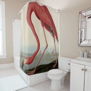 American Flamingo from Audubon's Birds of America  Shower Curtain