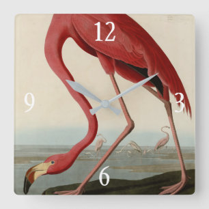 American Flamingo from Audubon's Birds of America Square Wall Clock