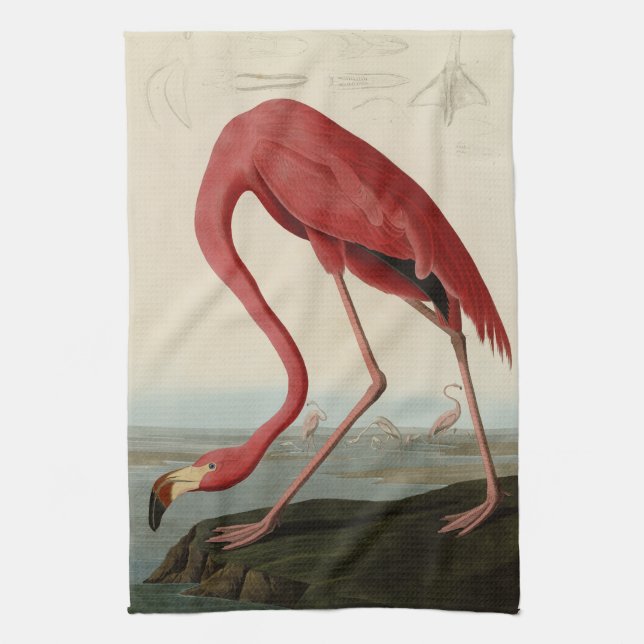 American Flamingo from Audubon's Birds of America Tea Towel (Vertical)