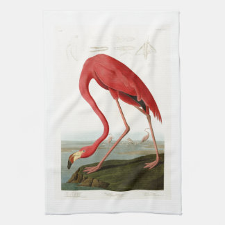 American Flamingo John Audubon Birds of America Tea Towel