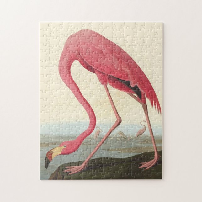 American Flamingo ~ John James Audubon 11 x 14 Jigsaw Puzzle (Vertical)