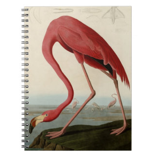 American Flamingo Notebook