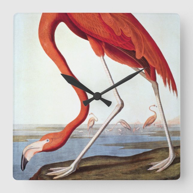 American Flamingo Square Wall Clock (Front)