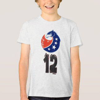 American Football : Gridiron Glory Tri-Blend Shirt