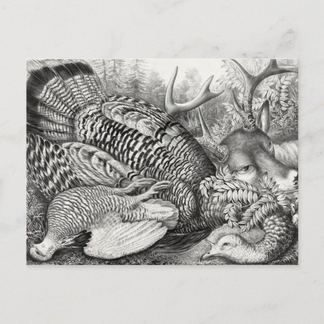 "American Forest Game" postcard (Front)