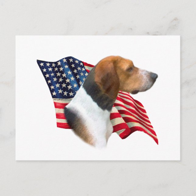 American Foxhound Flag Postcard (Front)