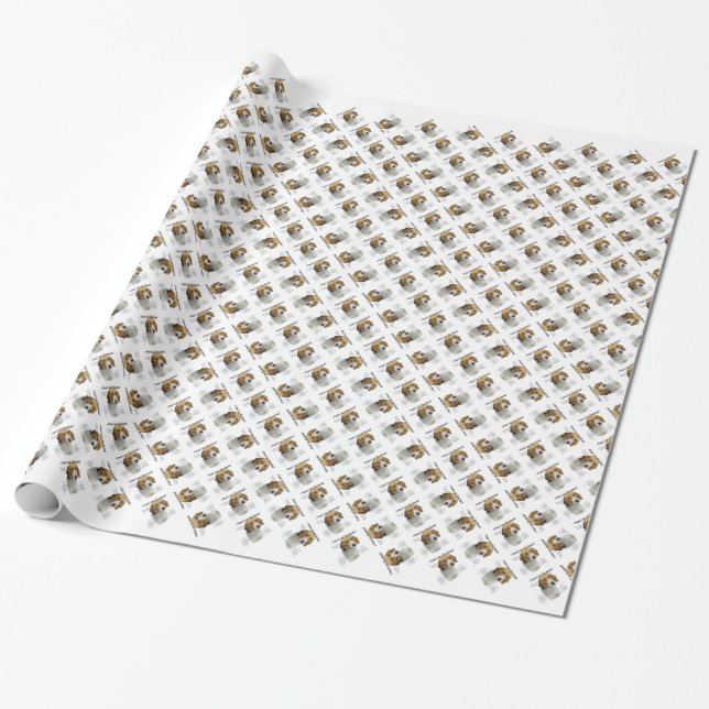American Foxhound History, All About Foxhounds Wrapping Paper (Unrolled)