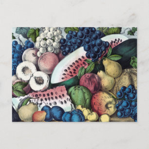 American Fruit Vintage Illustration Postcard