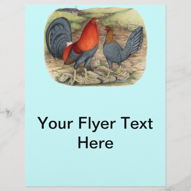 American Game Blue Reds Flyer (Front)