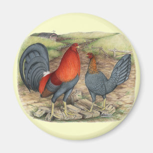 American Game Blue Reds Magnet