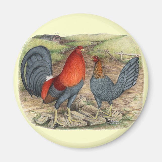 American Game Blue Reds Magnet (Front)