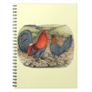 American Game Blue Reds Notebook