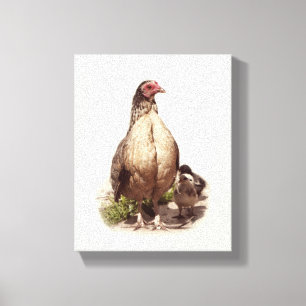 American Game Hen and Baby Chickens Canvas Print