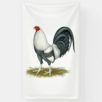 American Game Silver Blue Gamecock