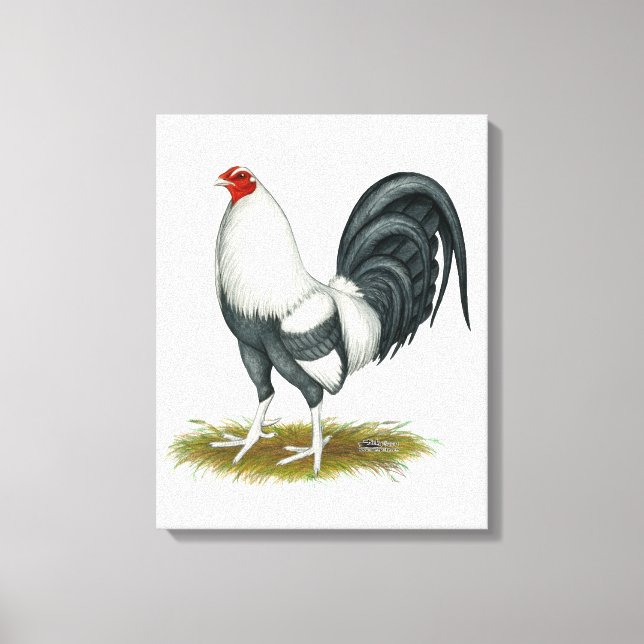 American Game Silver Blue Gamecock Canvas Print (Front)