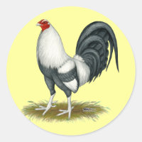 American Game Silver Blue Gamecock