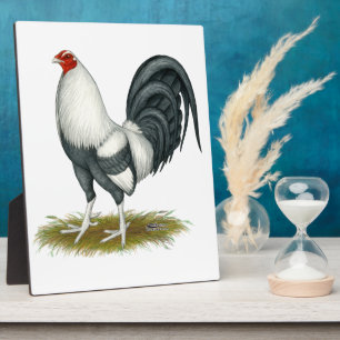 American Game Silver Blue Gamecock Plaque