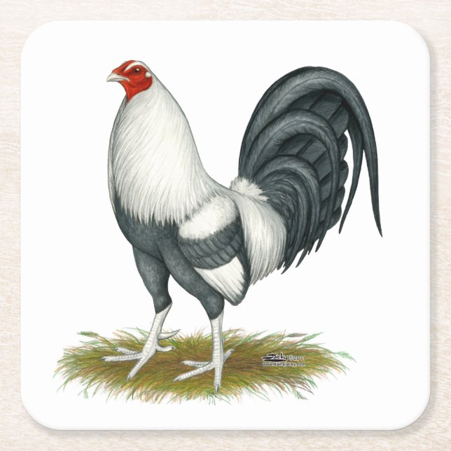 American Game Silver Blue Gamecock Square Paper Coaster (Front)