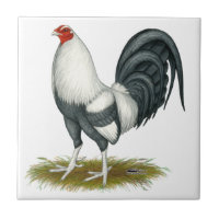 American Game Silver Blue Gamecock