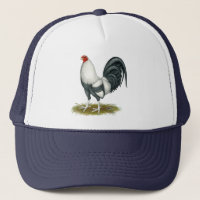 American Game Silver Blue Gamecock
