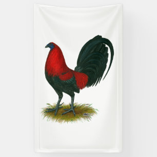 American Gamecock:  Brown Red Banner