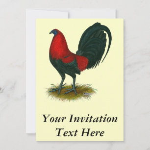 American Gamecock: Brown Red Invitation