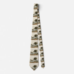 American Golden-Plover, Audubon's Birds of America Tie