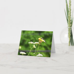 American Goldfinch #1 - Blank Note Card