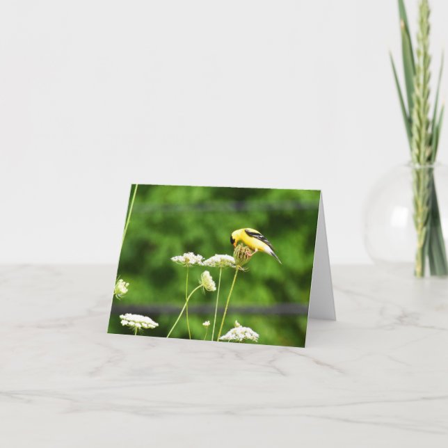 American Goldfinch #1 - Blank Note Card (Front)