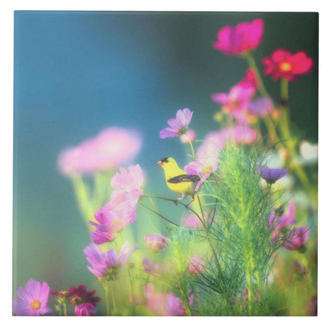 American Goldfinch and Coreopsis  Tile (Front)