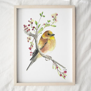 American Goldfinch Bird Watercolor  Art  Poster
