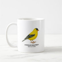 American Goldfinch - California Curated Collection