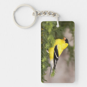 American Goldfinch male in a tree Key Ring
