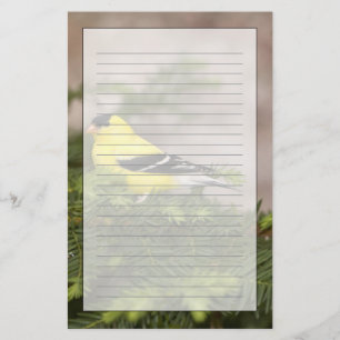 American Goldfinch male in a tree Stationery