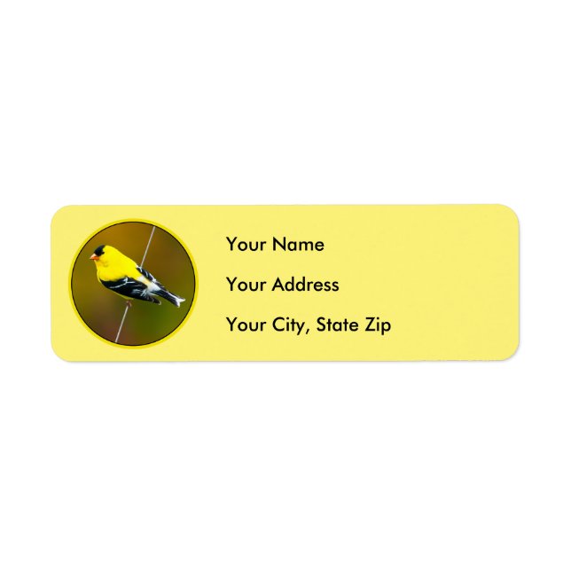 American Goldfinch - Original Photograph (Front)