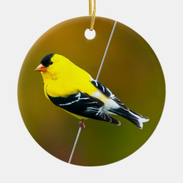 American Goldfinch - Original Photograph Ceramic Tree Decoration (Front)