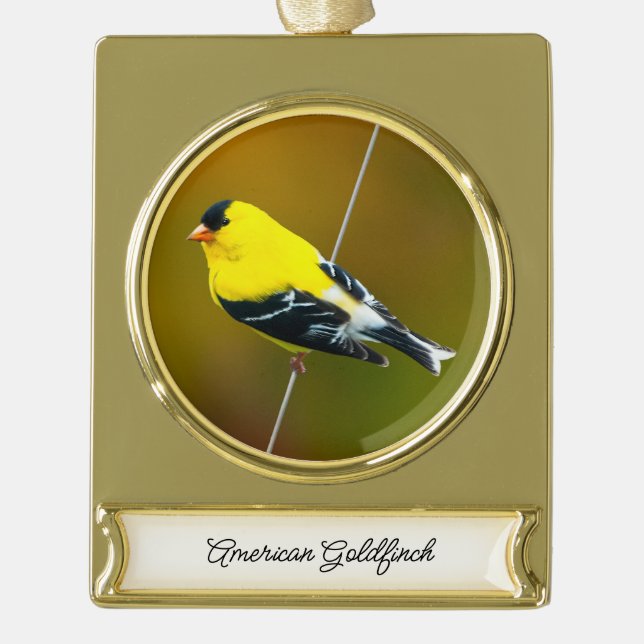 American Goldfinch - Original Photograph Gold Plated Banner Ornament (Front)
