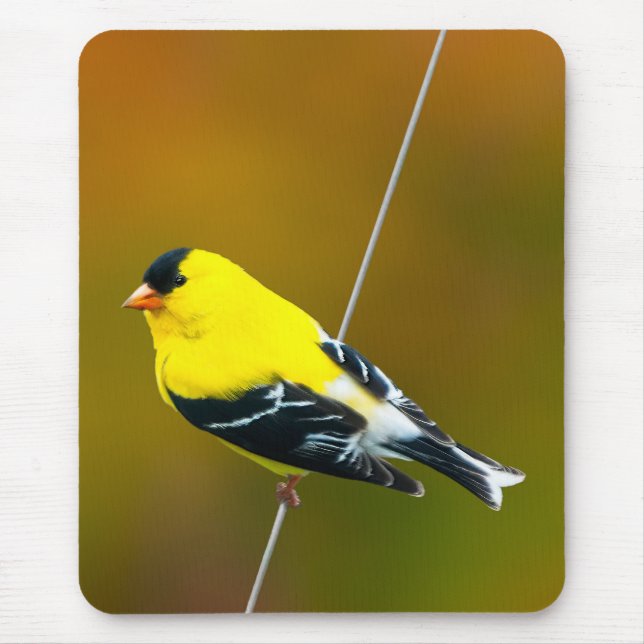 American Goldfinch - Original Photograph Mouse Mat (Front)
